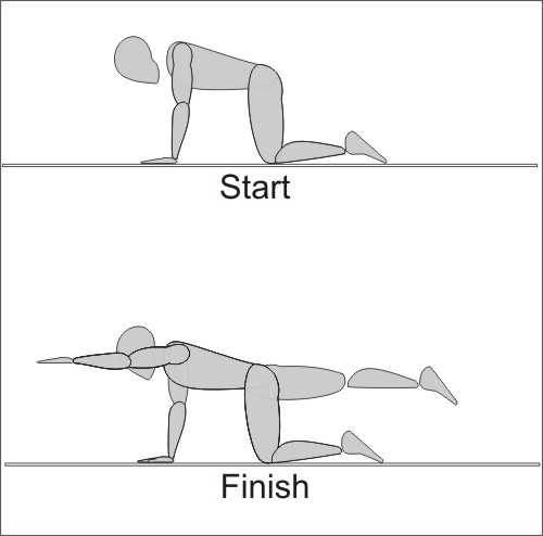 Quadruped Exercise